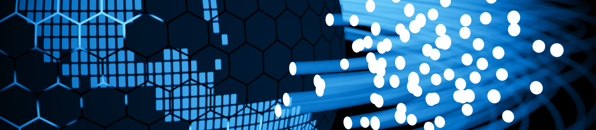 fiber optic