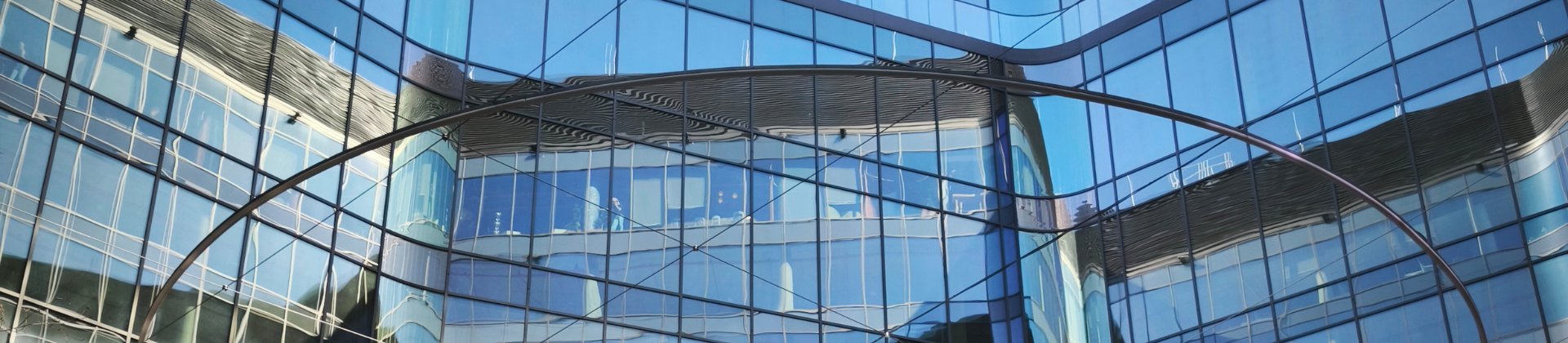 The form banner
