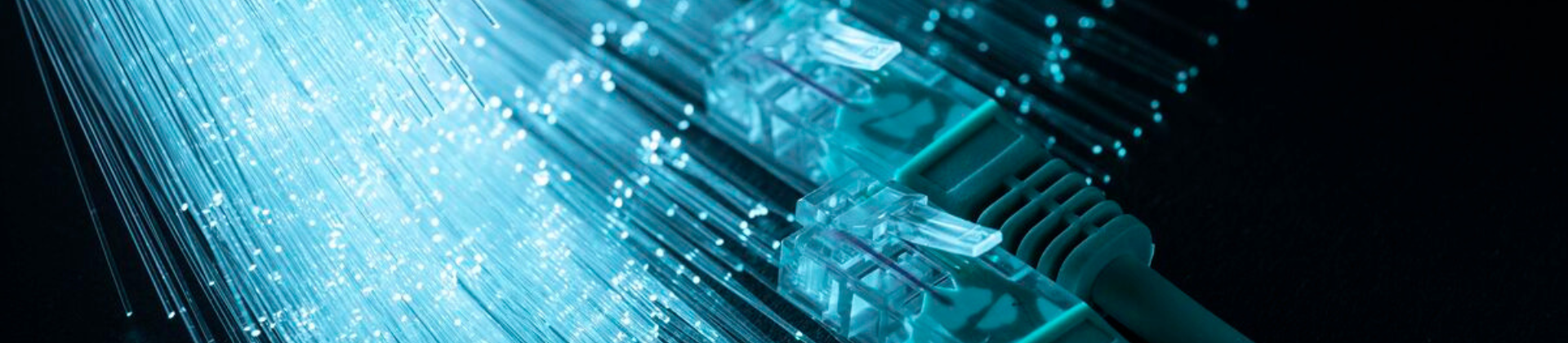 fiber optic
