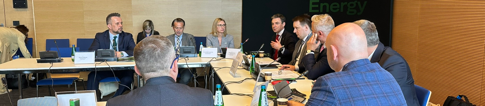 europejski kongres gospodarczy